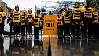 This UN Treaty Would Tackle the Climate and Extinction Crises